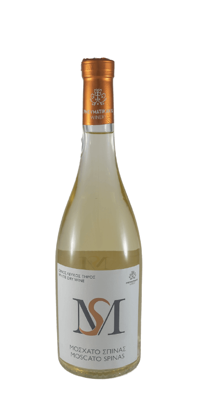 Pnevmatikakis Βραβεύσεις 5