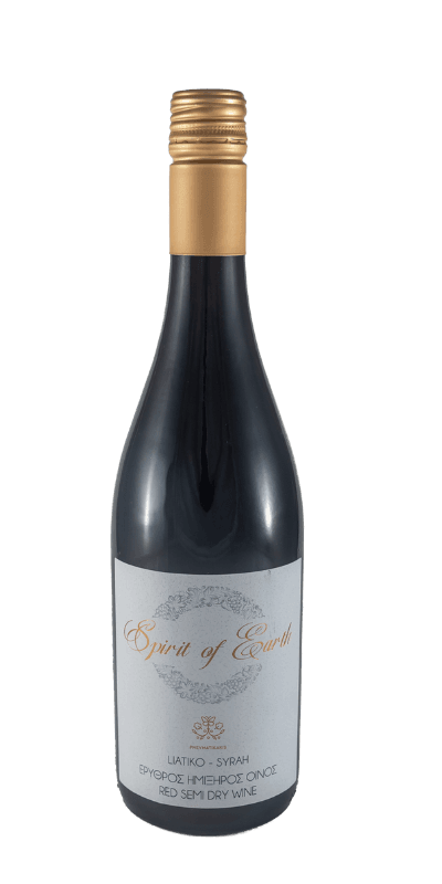 Pneumatikakis Βραβεύσεις 2